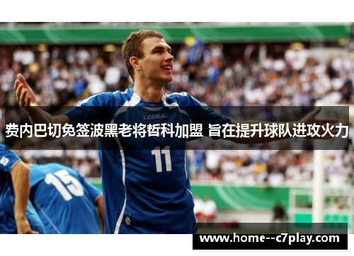 费内巴切免签波黑老将哲科加盟 旨在提升球队进攻火力 费内巴切免签波黑老将哲科加盟 旨在提升球队进攻火力